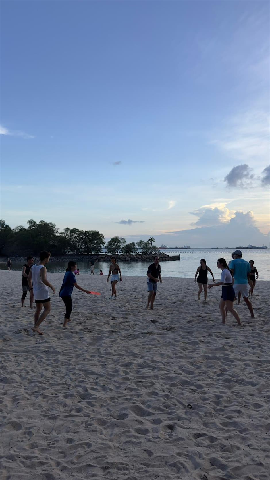 Ultimate Frisbee Sentosa 